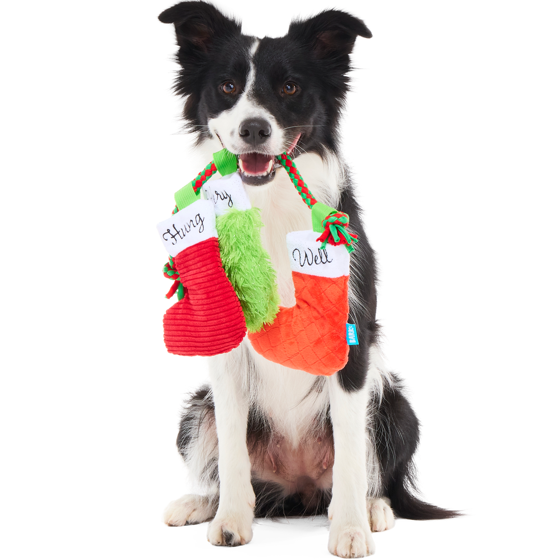 Well Hung Stockings Plush Tug Dog Toy - Image 2
