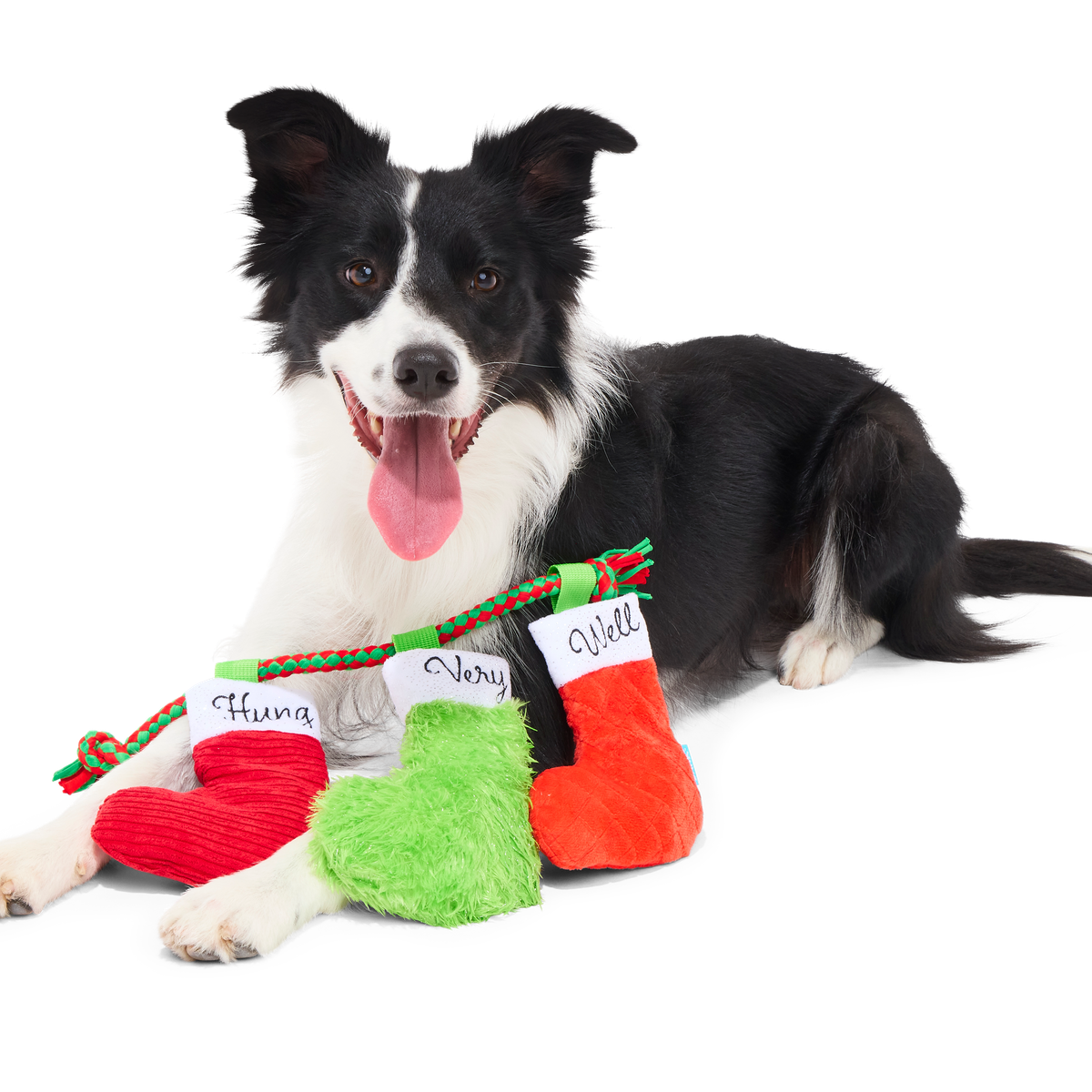Well Hung Stockings Plush Tug Dog Toy - Image 3