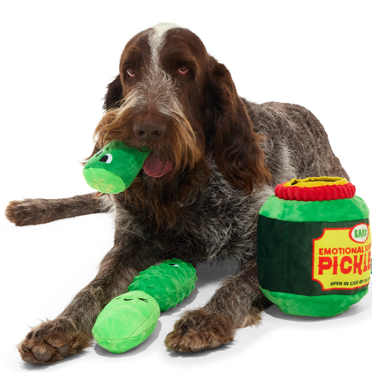 Dill-emma Squad Pickle Plush Extra-Large + Multi-Part Dog Toy - Image 3