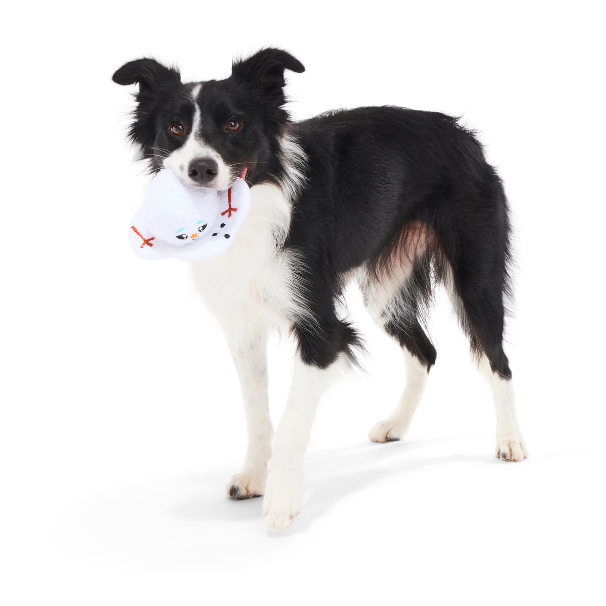 Slushy The Snowman Durable Super Chewer 2-in-1 Rip and Reveal Dog Toy - Image 7