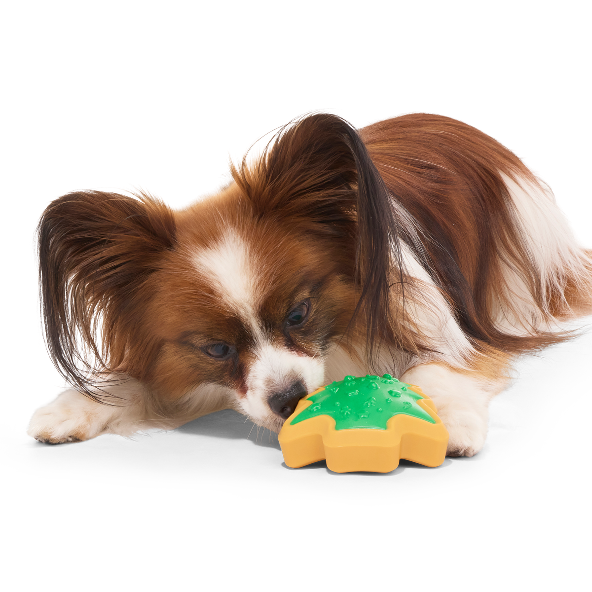 Hard-Baked Sugrrrr Cookie Super Chewer Durable Gnaw + Enrichment Dog Toy - Image 7