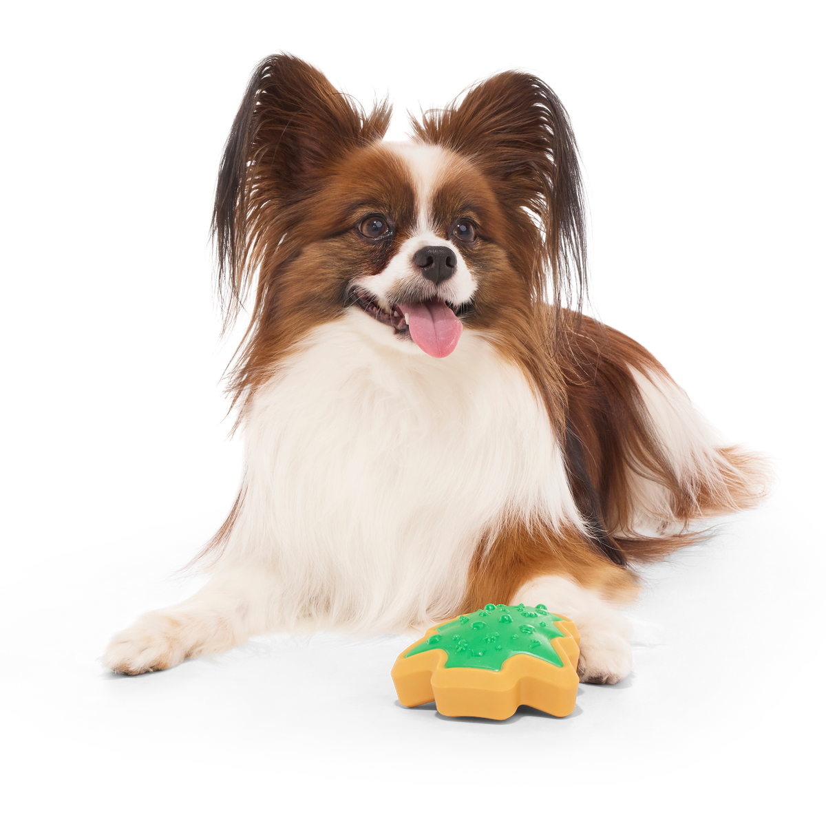Hard-Baked Sugrrrr Cookie Super Chewer Durable Gnaw + Enrichment Dog Toy - Image 8