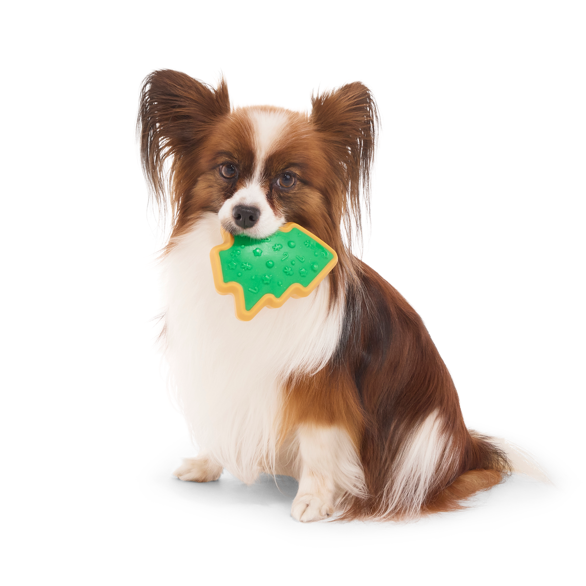 Hard-Baked Sugrrrr Cookie Super Chewer Durable Gnaw + Enrichment Dog Toy - Image 6