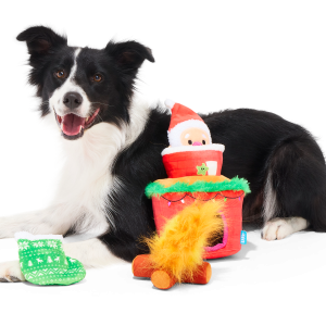 Mutts Be Santa Plush Extra-Large + Enrichment + Multi-Part Dog Toy
