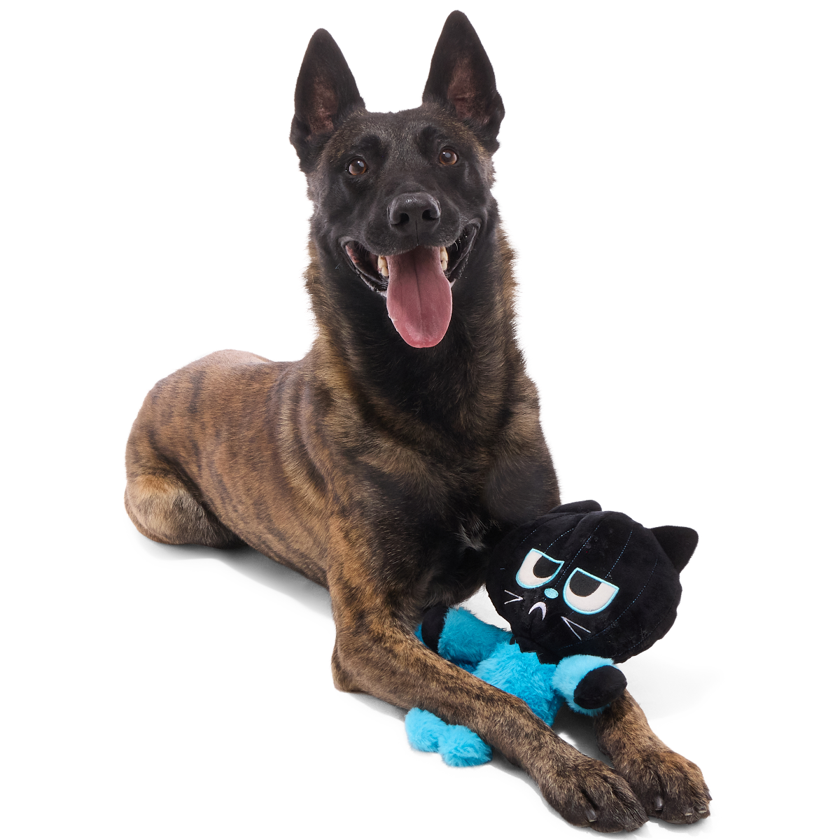 The Purrfect Crime Plush 2-in-1 + Tug Dog Toy - Image 2