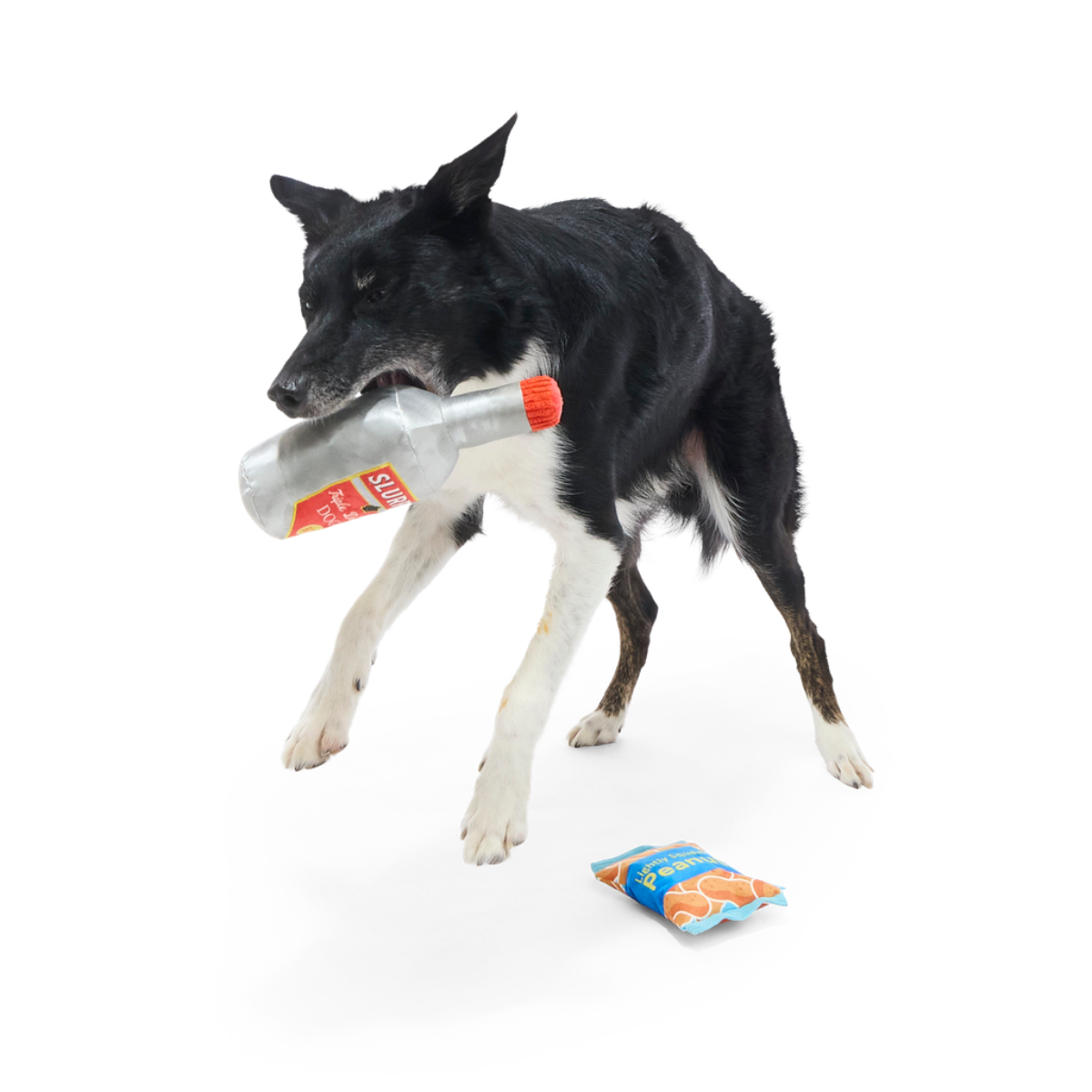 Please Remain Treated Plush Multi-Part Dog Toy - Image 4