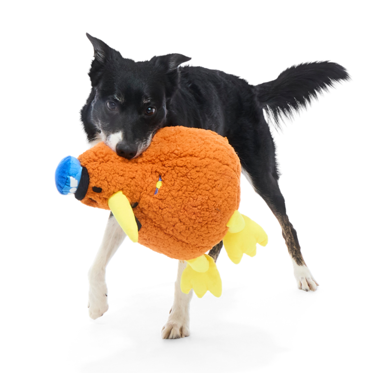 Captain Kiwi Plush Extra-Large Tug Dog Toy - Image 4