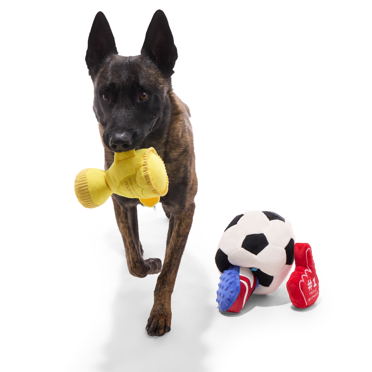 Snootbol Haul Plush Multi-Part + Enrichment Dog Toy - Image 2