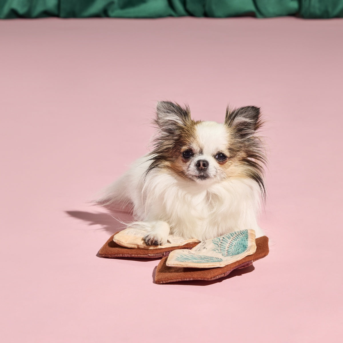 The Grrr-immerie Plush Enrichment Dog Toy - Image 9