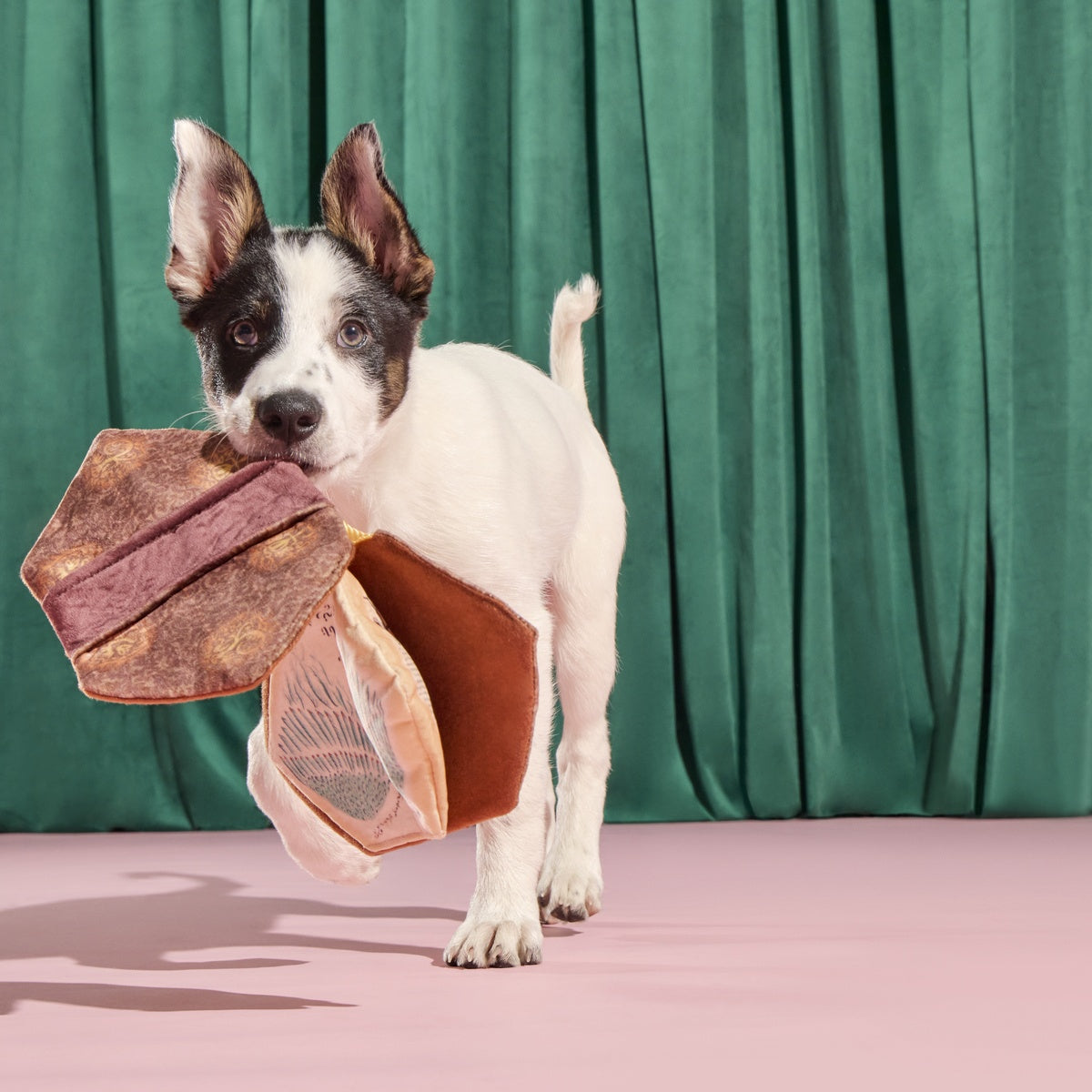 The Grrr-immerie Plush Enrichment Dog Toy - Image 2