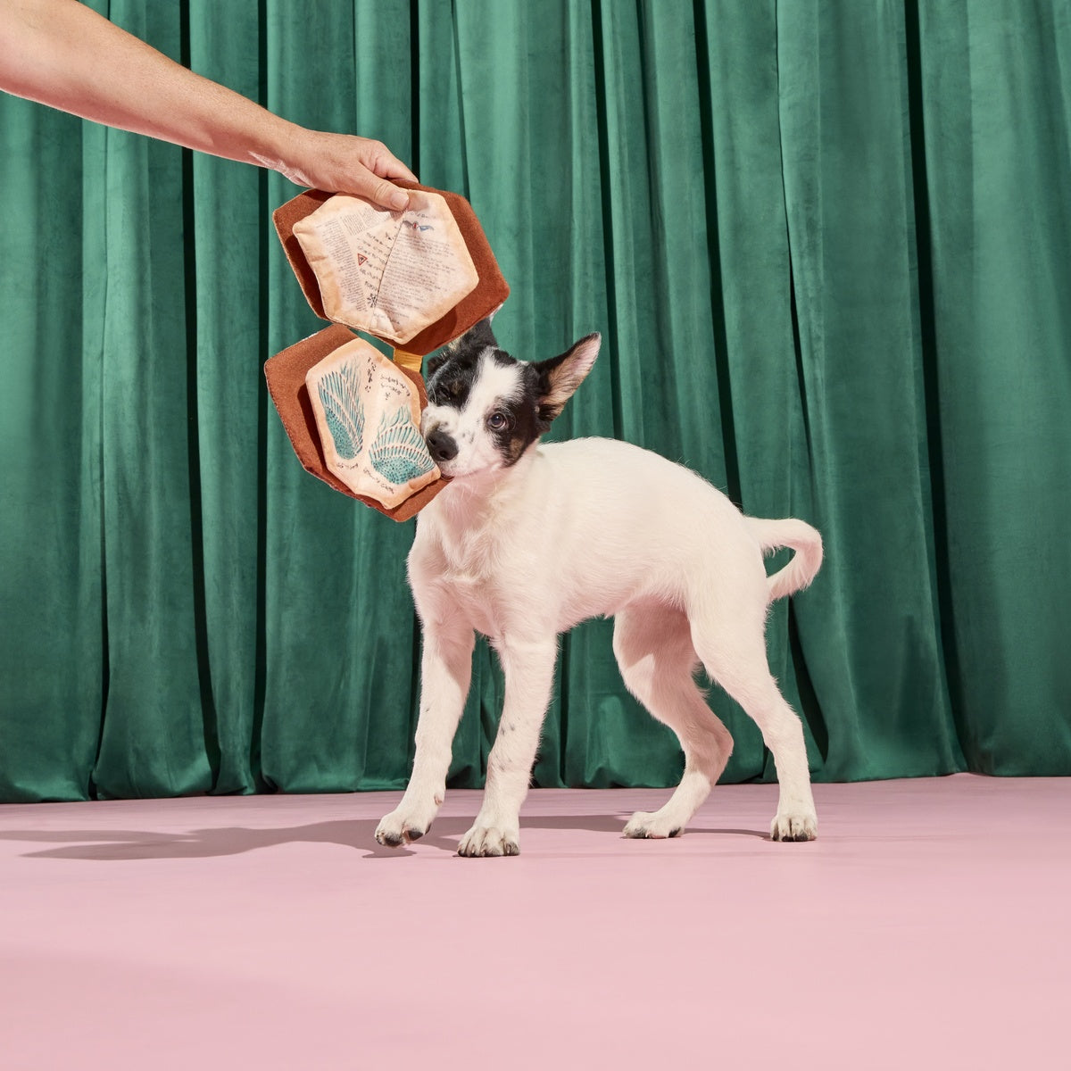 The Grrr-immerie Plush Enrichment Dog Toy - Image 8