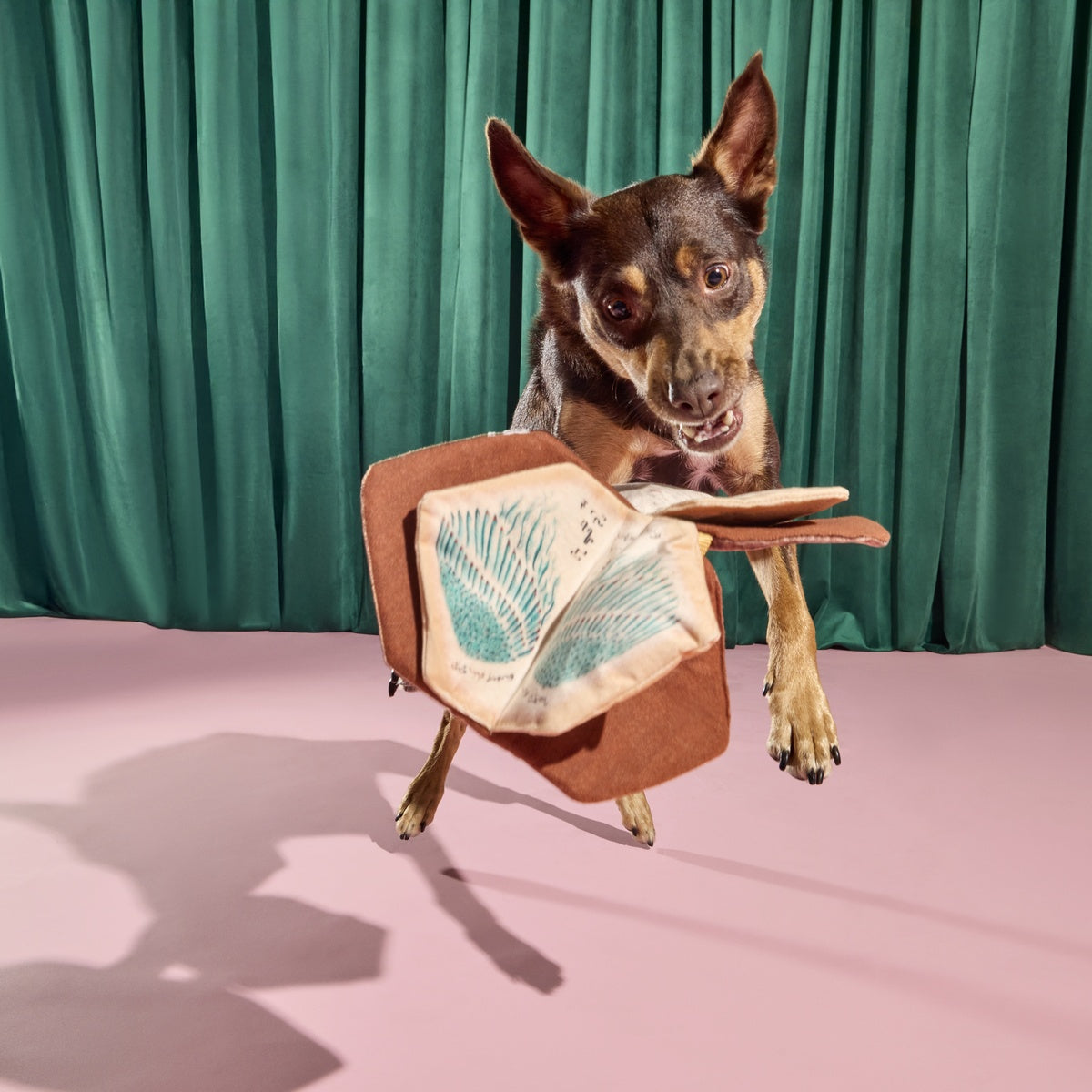 The Grrr-immerie Plush Enrichment Dog Toy - Image 7