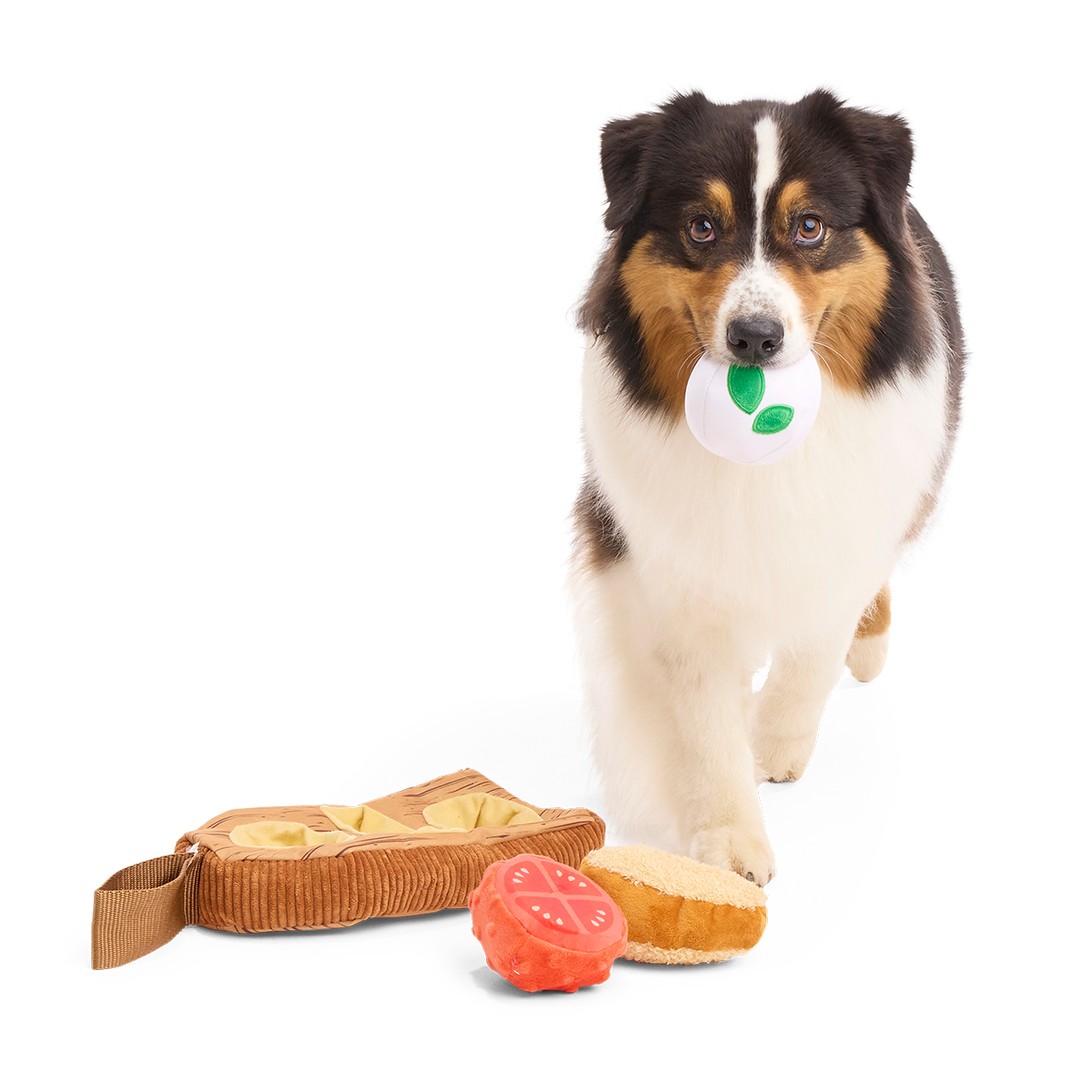Antipawsto Board Plush Multi-Part + Enrichment Dog Toy - Image 4