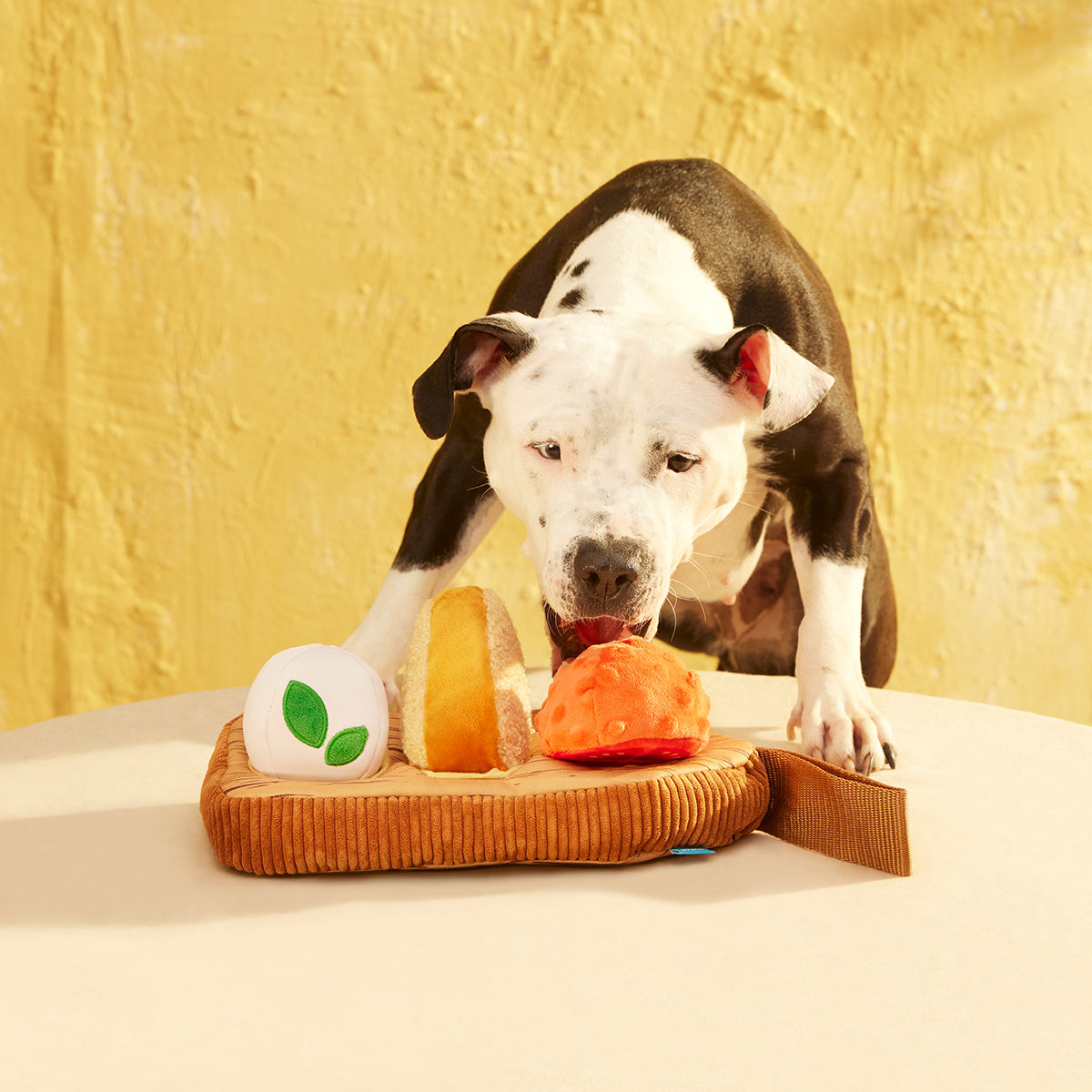 Antipawsto Board Plush Multi-Part + Enrichment Dog Toy - Image 8