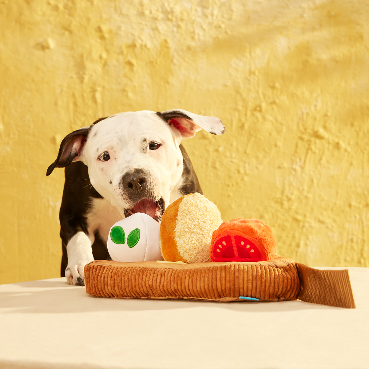 Antipawsto Board Plush Multi-Part + Enrichment Dog Toy - Image 7