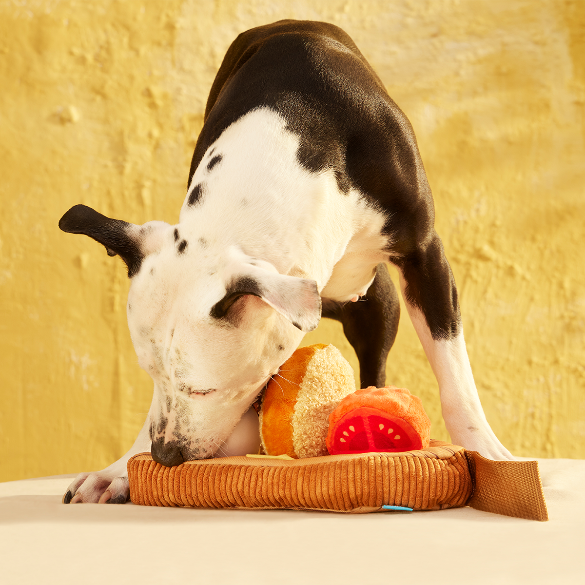 Antipawsto Board Plush Multi-Part + Enrichment Dog Toy - Image 6
