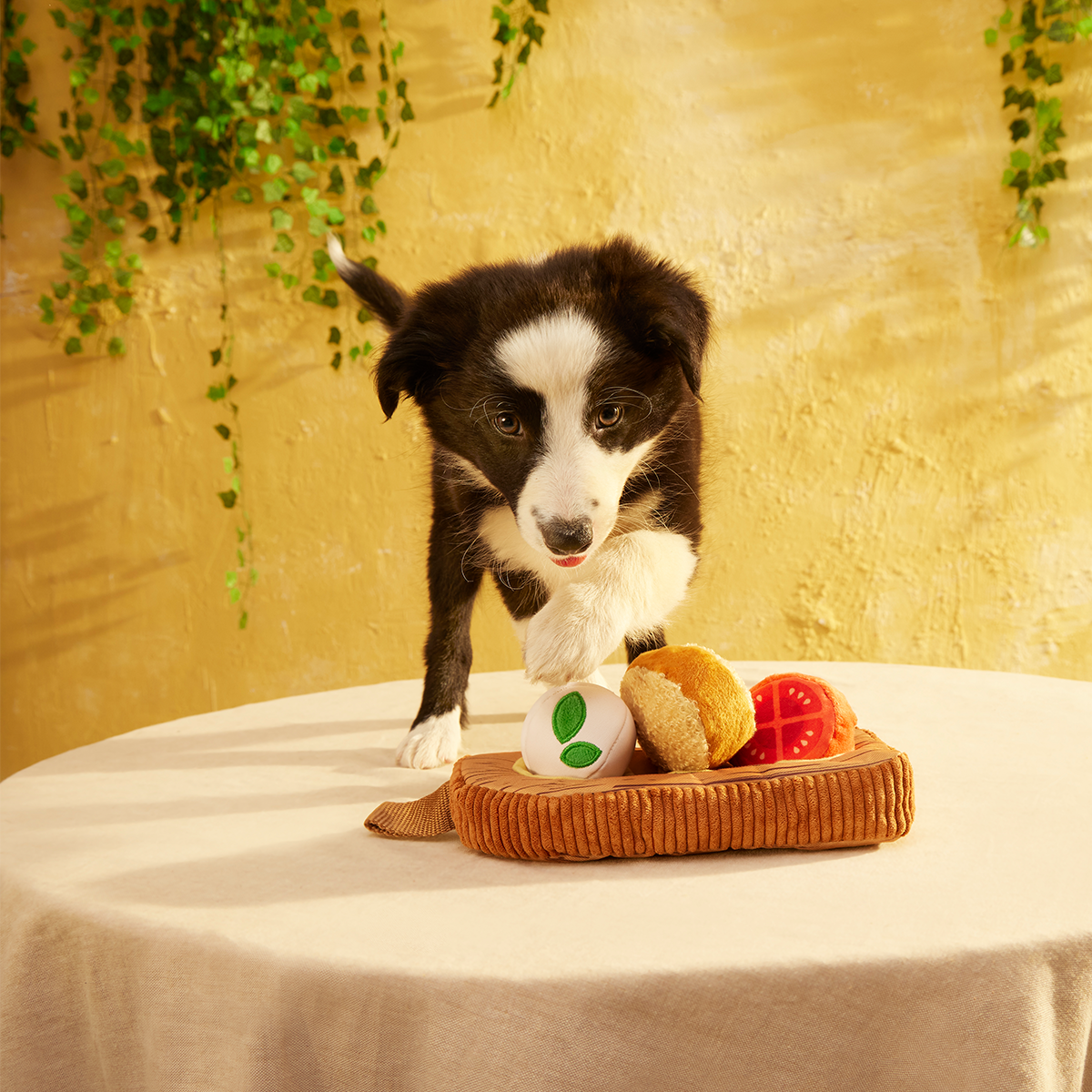 Antipawsto Board Plush Multi-Part + Enrichment Dog Toy - Image 5