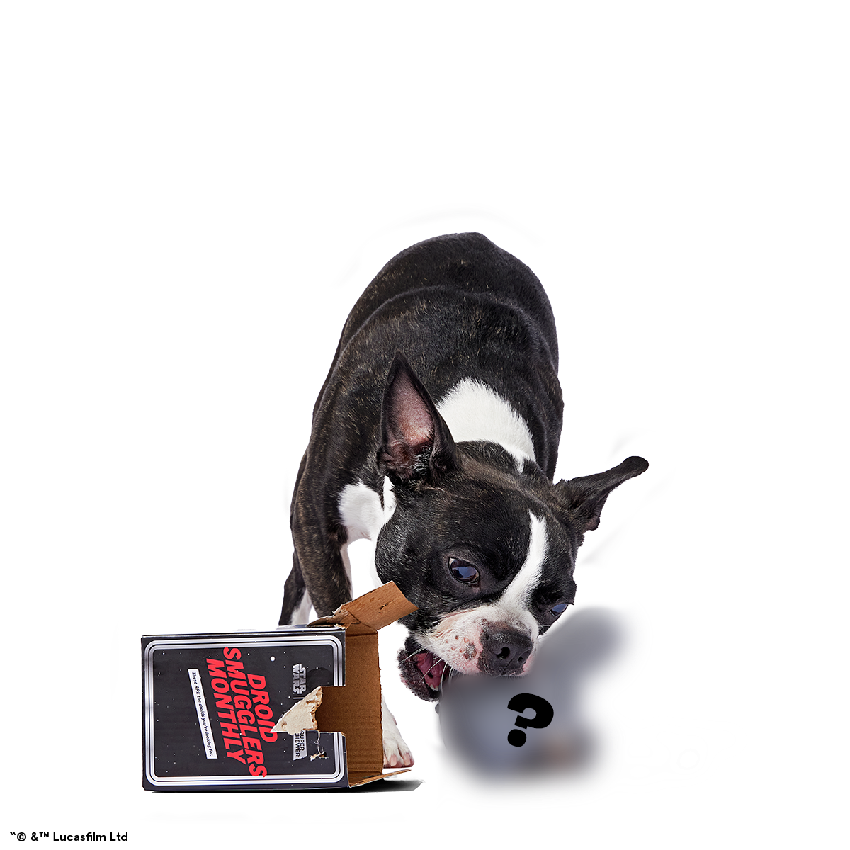 Star Wars™ Droid Smugglers Club. Super Chewer Durable Monthly Dog Toys - Image 3