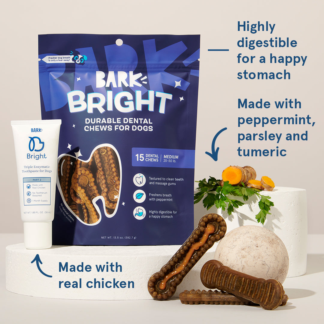 Bright Durable Dental Kit. 15 Ct Chews + Toothpaste - Image 3
