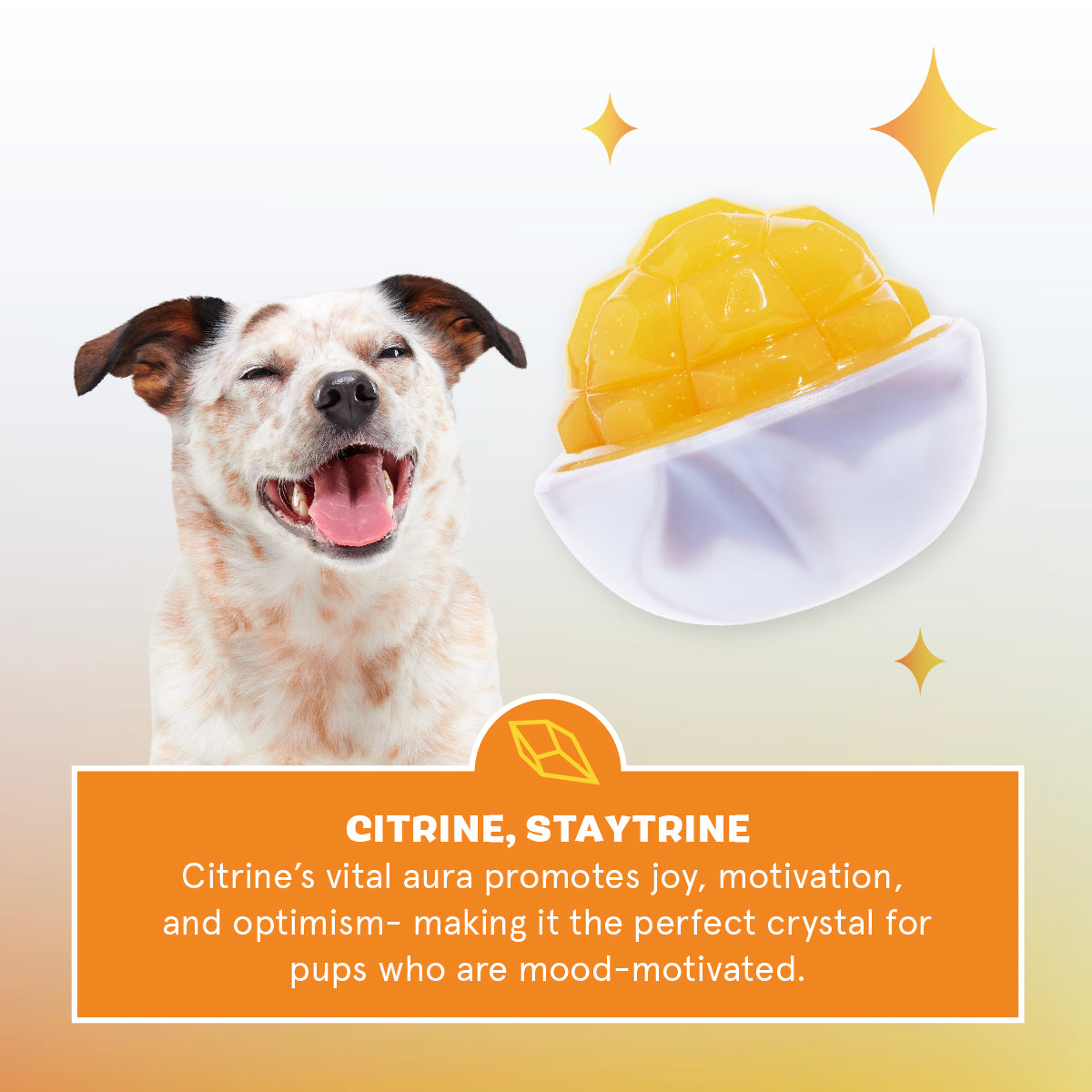 Crystal of the Month Club. Super Chewer Durable Monthly Dog Toys - Image 3