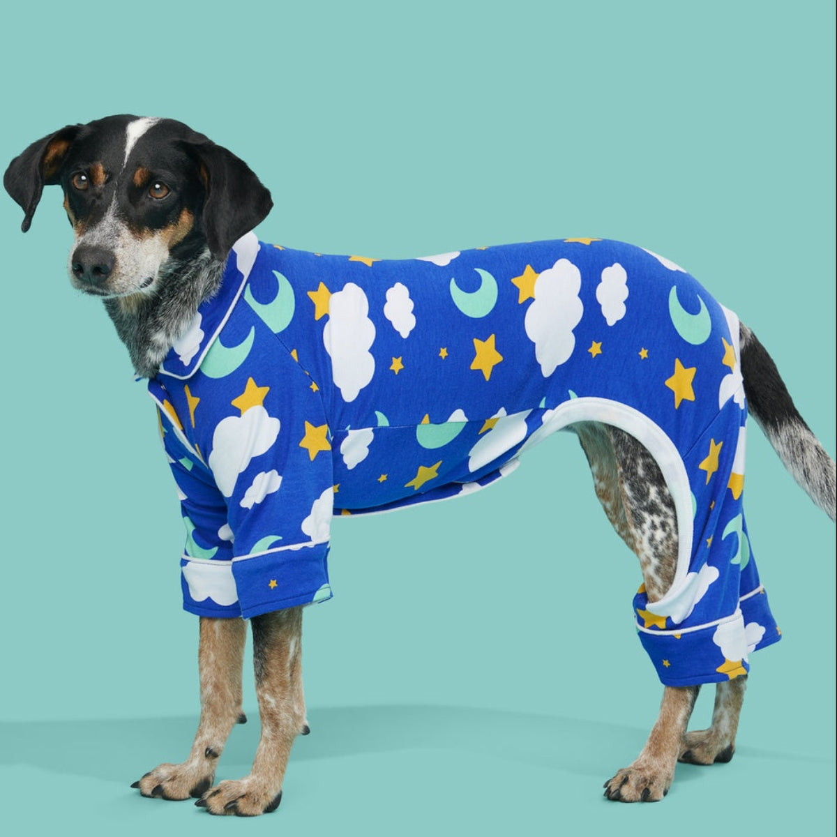 Slumber Party Dog Pajamas - Image 4