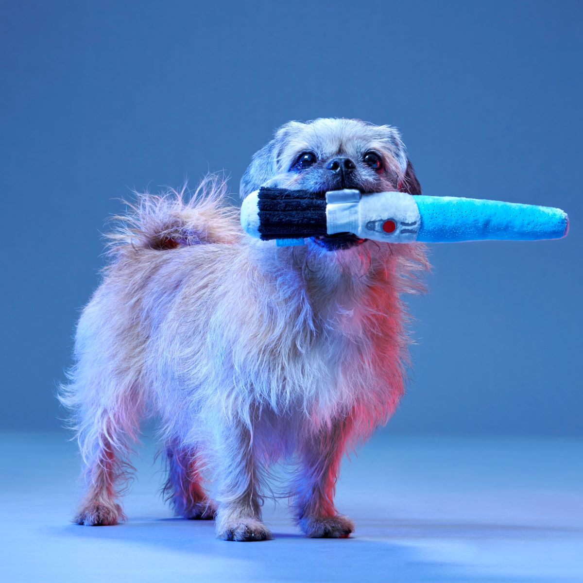 Chews Your Destiny Plush Multi-Part + Tug Dog Toy - Image 3