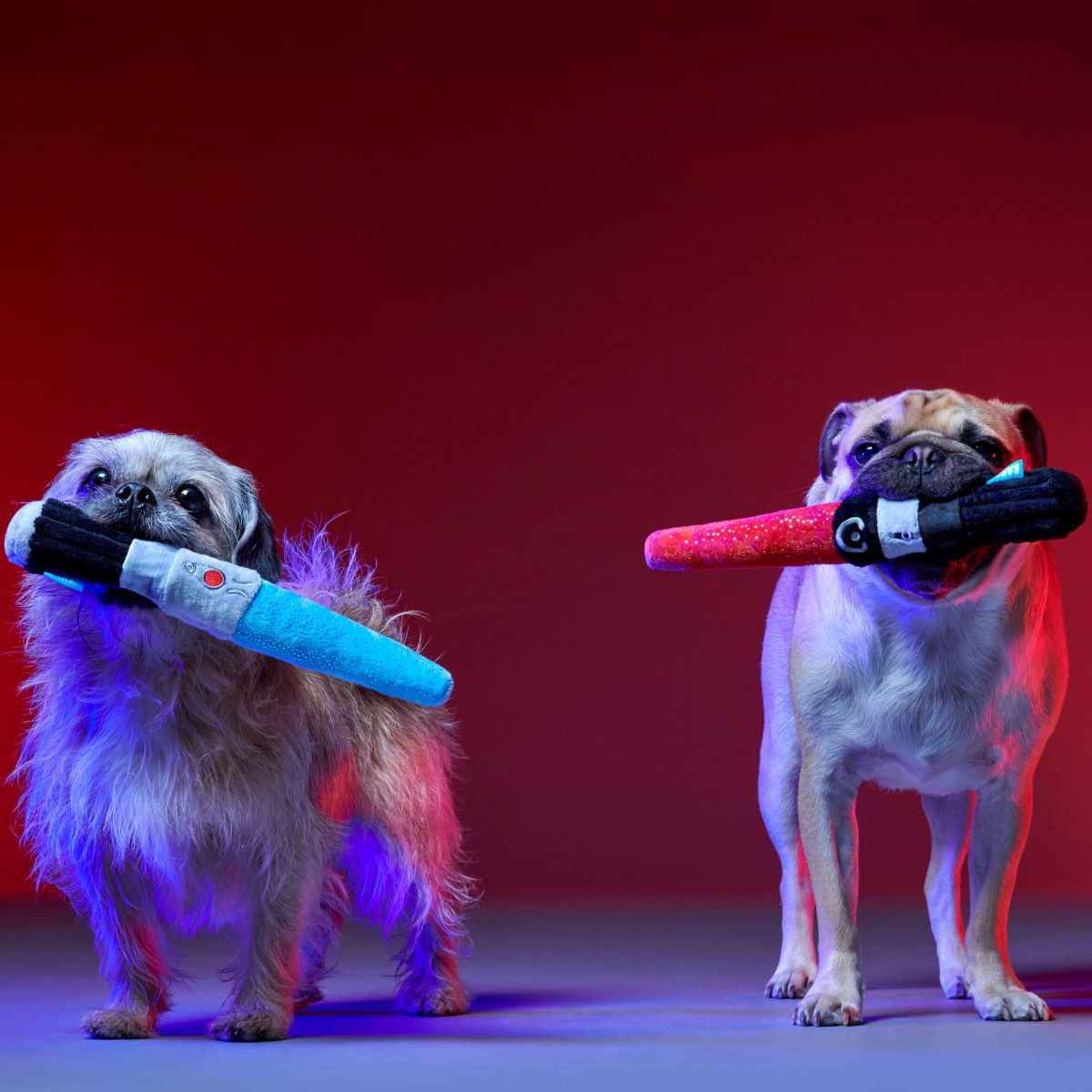Chews Your Destiny Plush Multi-Part + Tug Dog Toy - Image 2