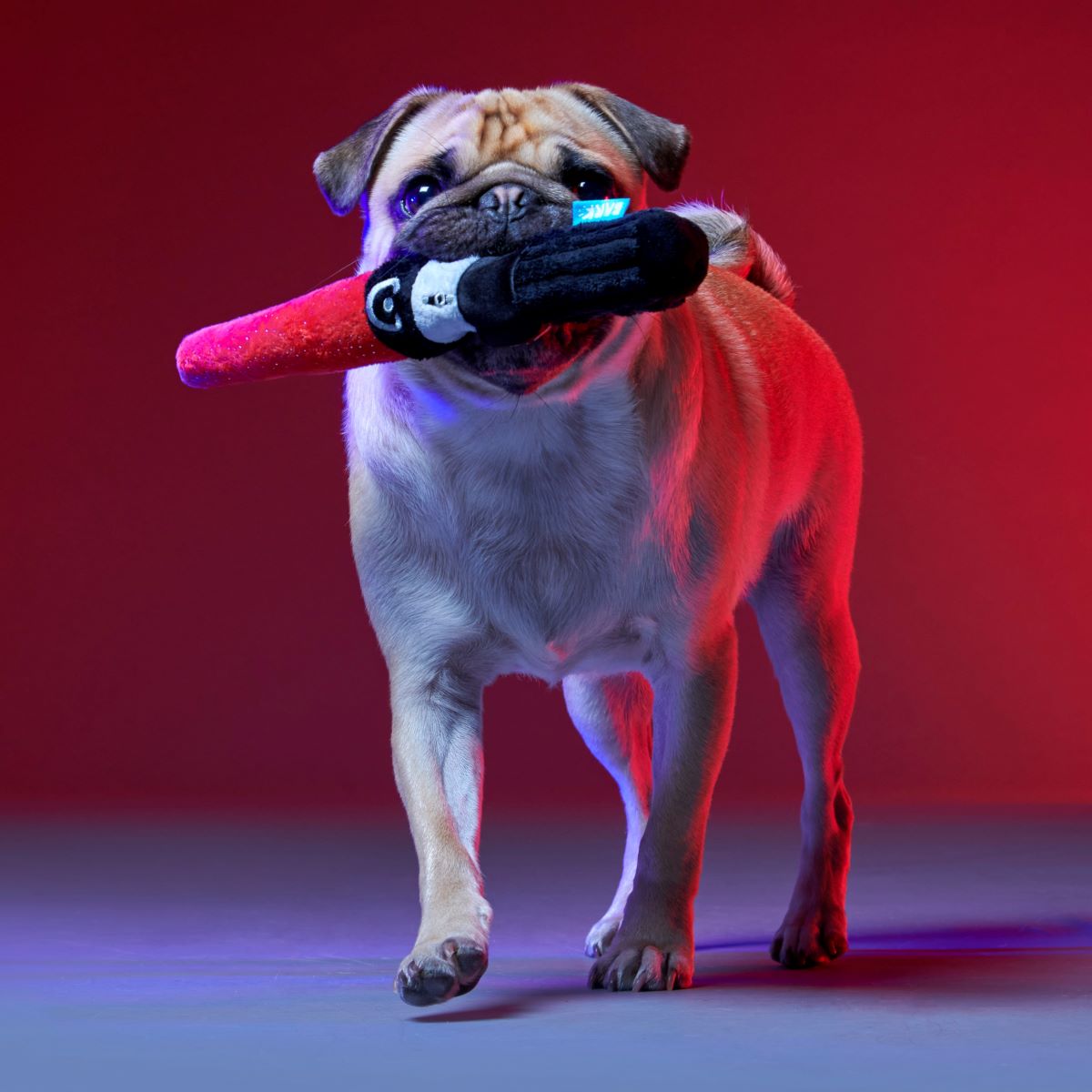 Chews Your Destiny Plush Multi-Part + Tug Dog Toy - Image 4