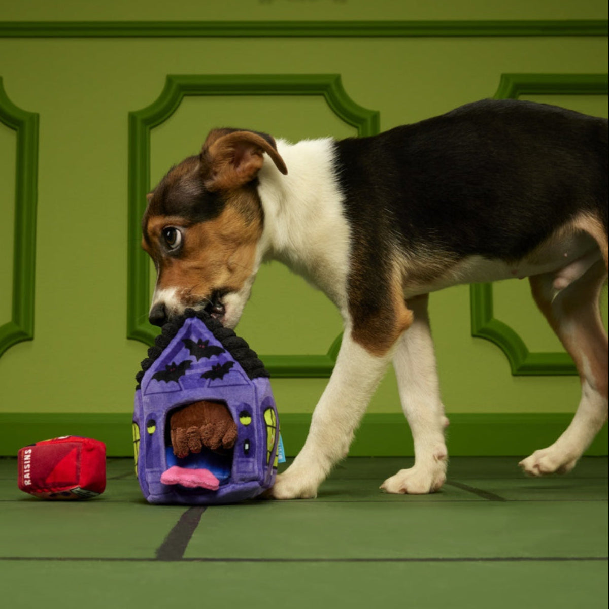 Squeak Street Trick-or-Treat Plush Multi-Part Dog Toy - Image 3