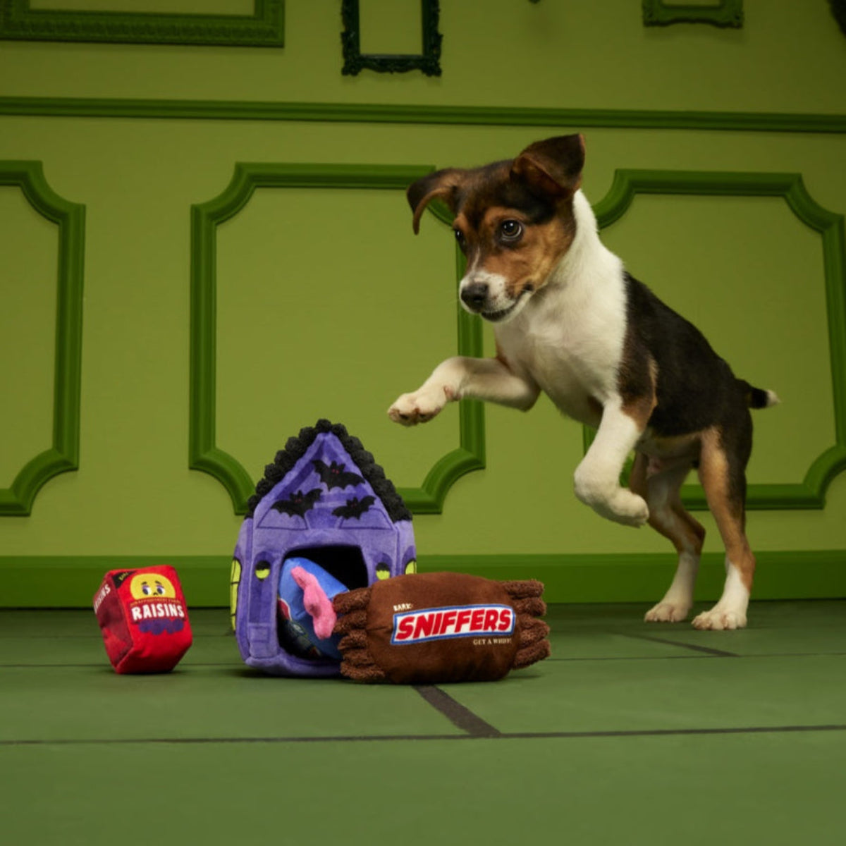 Squeak Street Trick-or-Treat Plush Multi-Part Dog Toy - Image 4