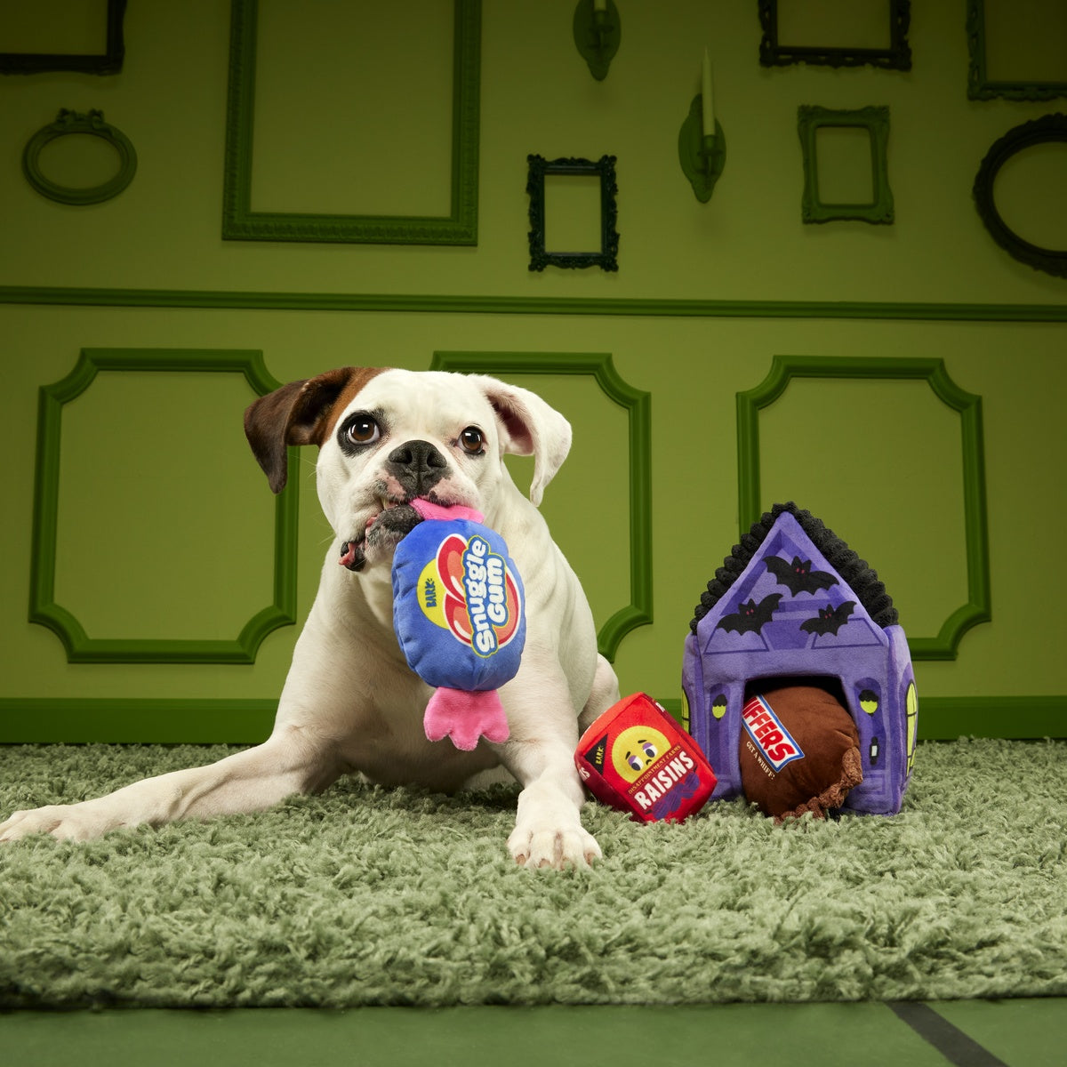 Squeak Street Trick-or-Treat Plush Multi-Part Dog Toy - Image 6