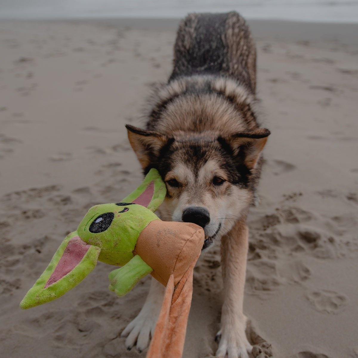 Ride along Grogu™ Plush Wearable Tug Dog Toy - Image 3