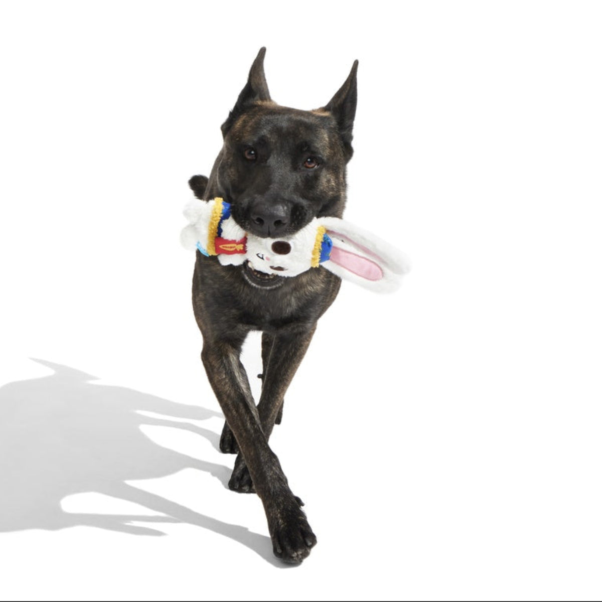 Hoppy Lunar New Year Plush Tug Dog Toy - Image 4