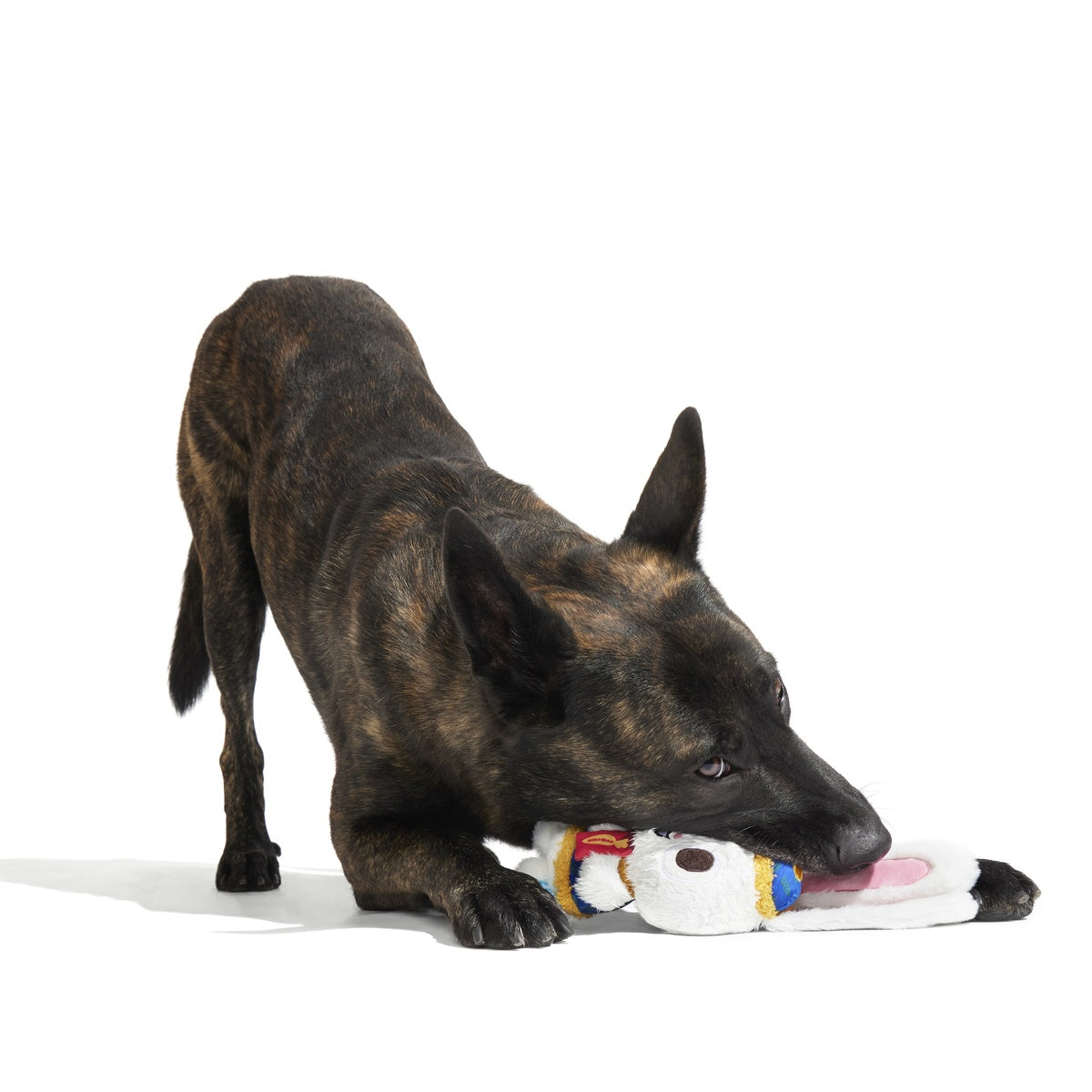 Hoppy Lunar New Year Plush Tug Dog Toy - Image 3