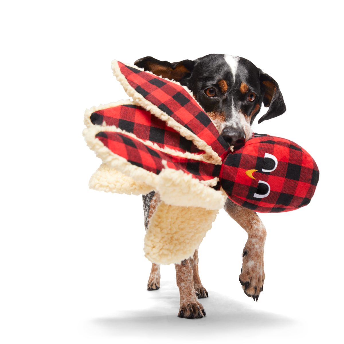 Plaid Ollie the Octopus Whip-n-Flip Plush Tug Dog Toy - Image 3