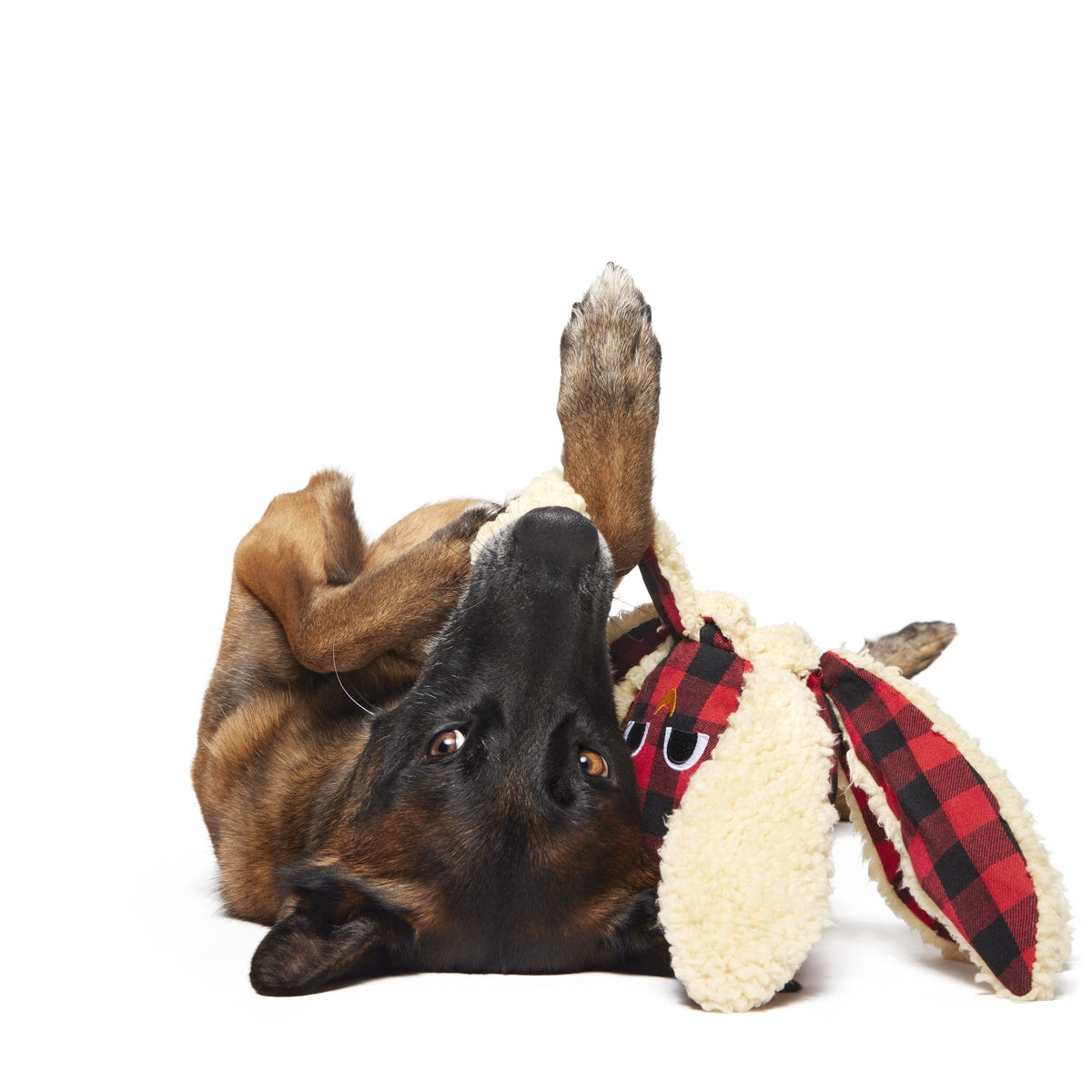 Plaid Ollie the Octopus Whip-n-Flip Plush Tug Dog Toy - Image 5