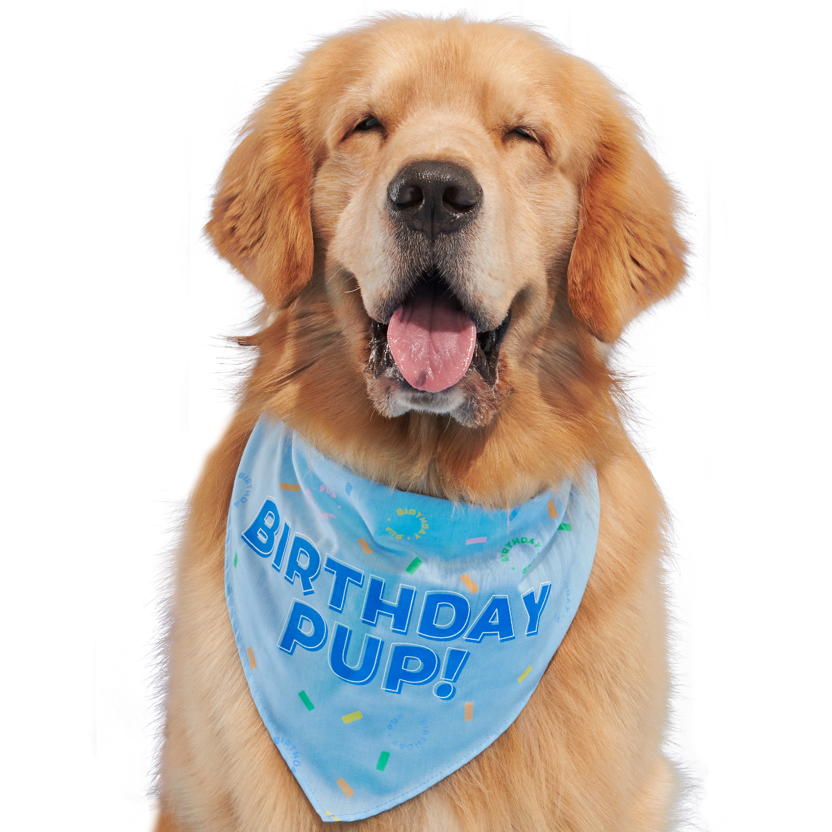 Birthday Dog Bandana