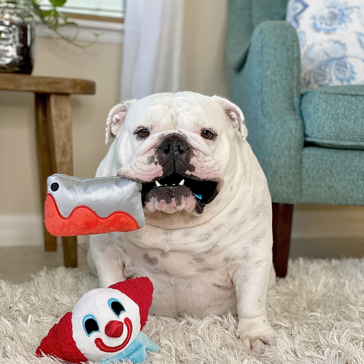 Last Laugh Bundle Plush Dog Toy - Image 2