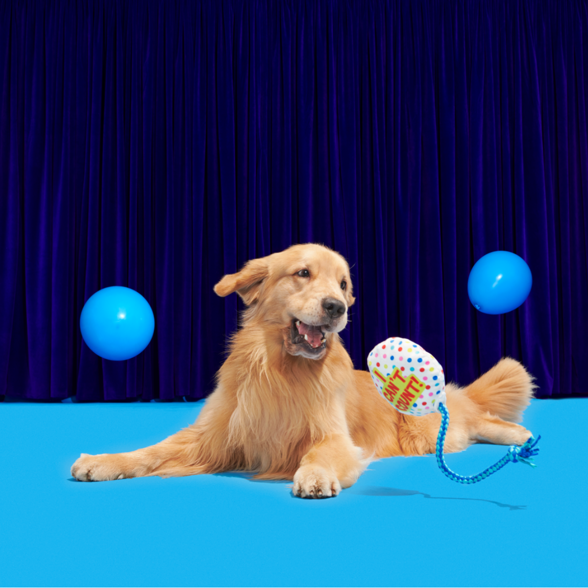 Yappy Birthday Balloon Plush Tug Dog Toy - Image 5