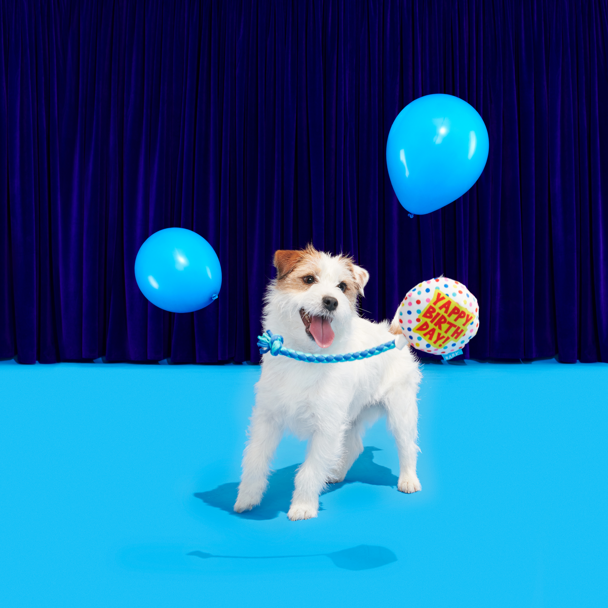 Yappy Birthday Balloon Plush Tug Dog Toy - Image 4