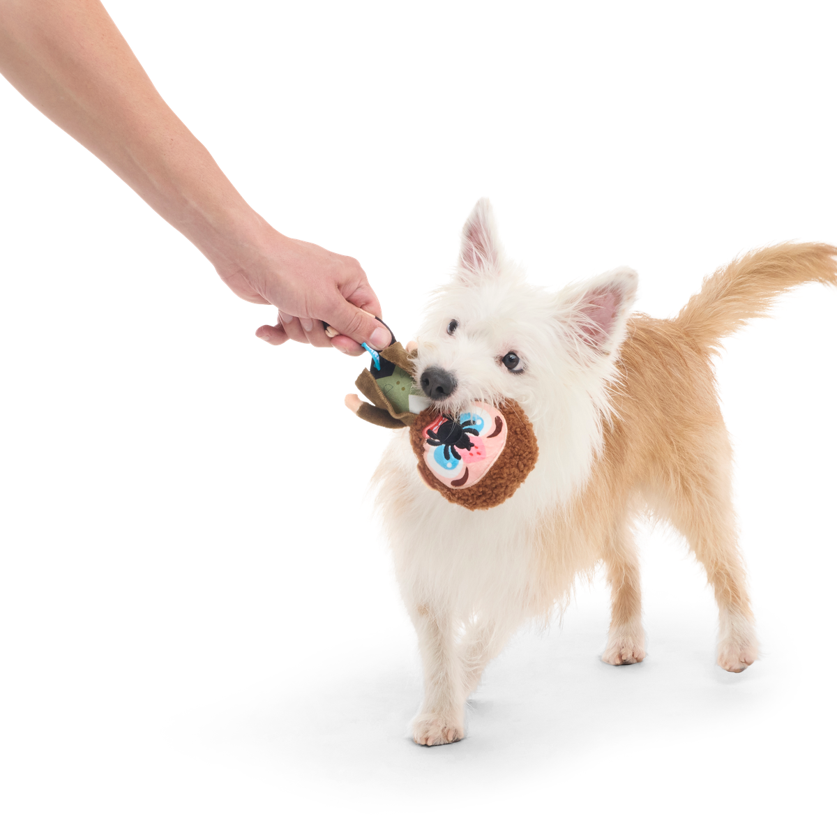 Marv Plush Tug Dog Toy - Image 4