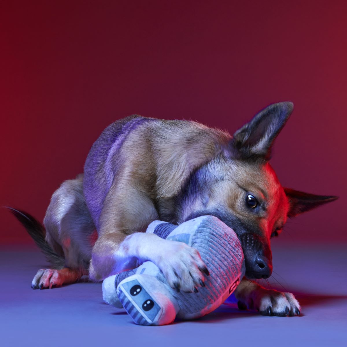 AT-AT™ Imperial Dog Walker Plush Tug Dog Toy - Image 5