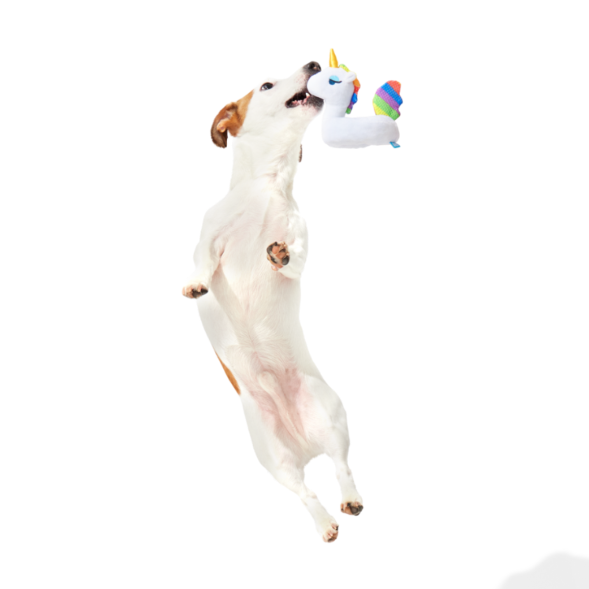 Tina the Tubular Unicorn Plush Tug Dog Toy - Image 3