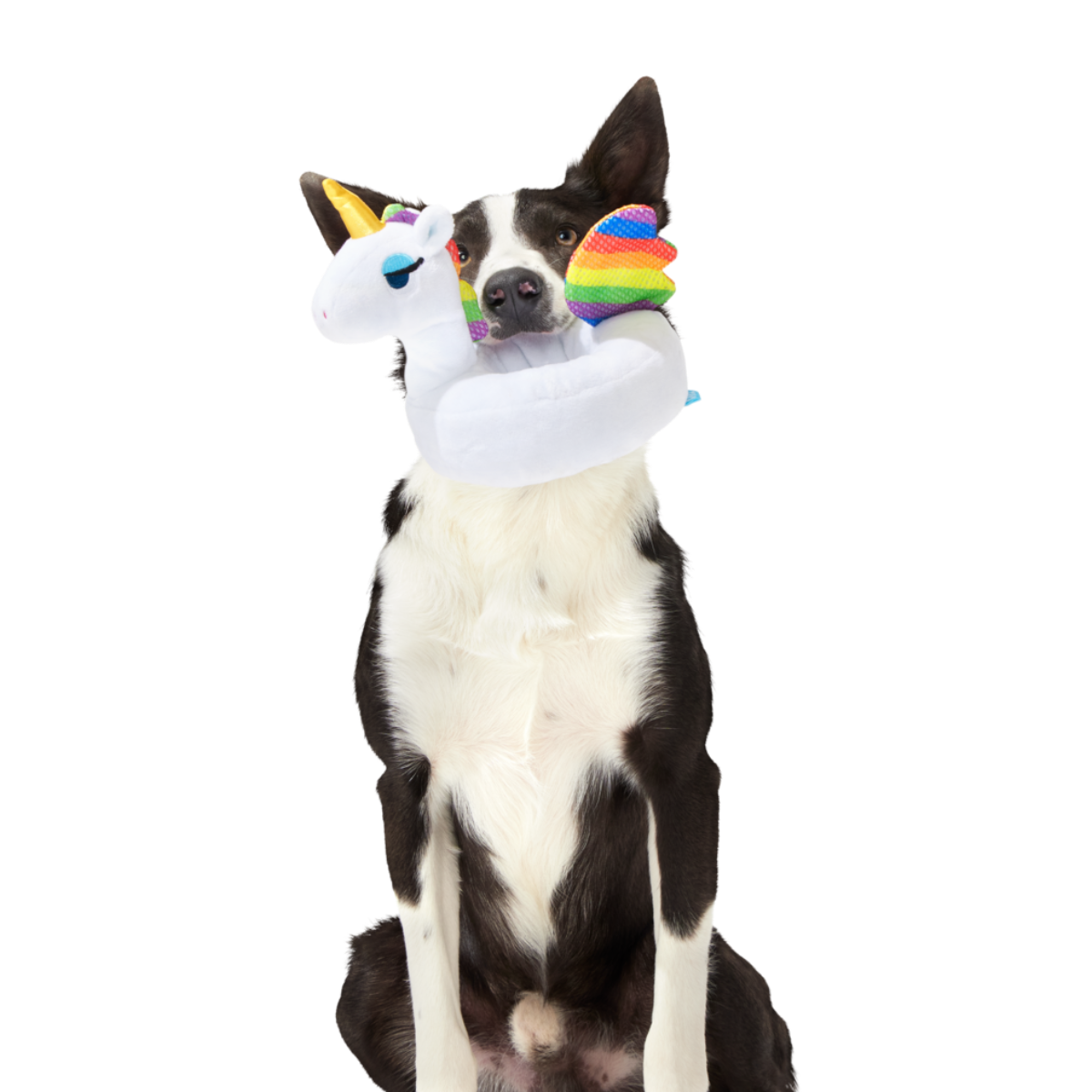 Tina the Tubular Unicorn Plush Tug Dog Toy - Image 2