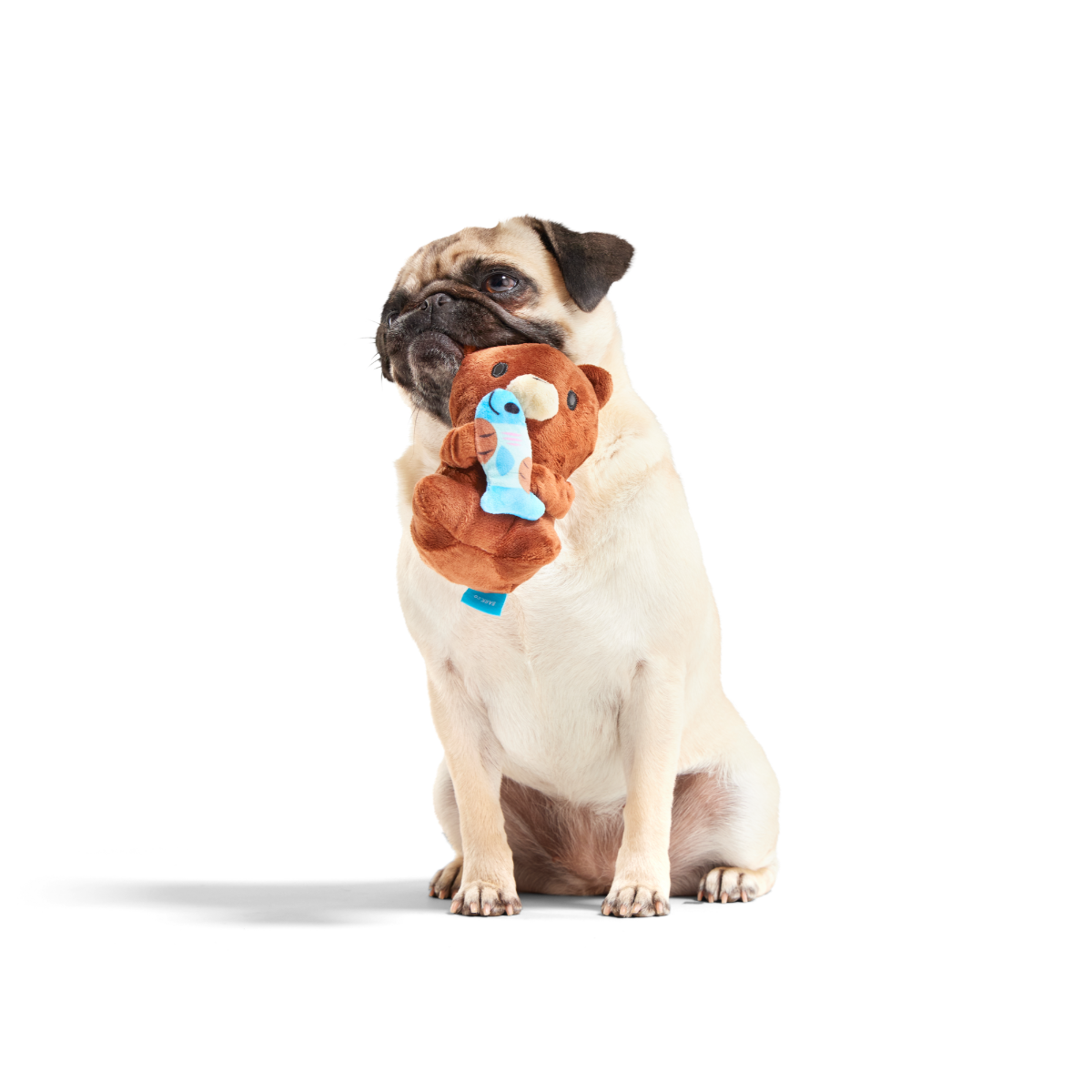 Izzy the Grizzly & Sal Plush Tug Dog Toy - Image 2