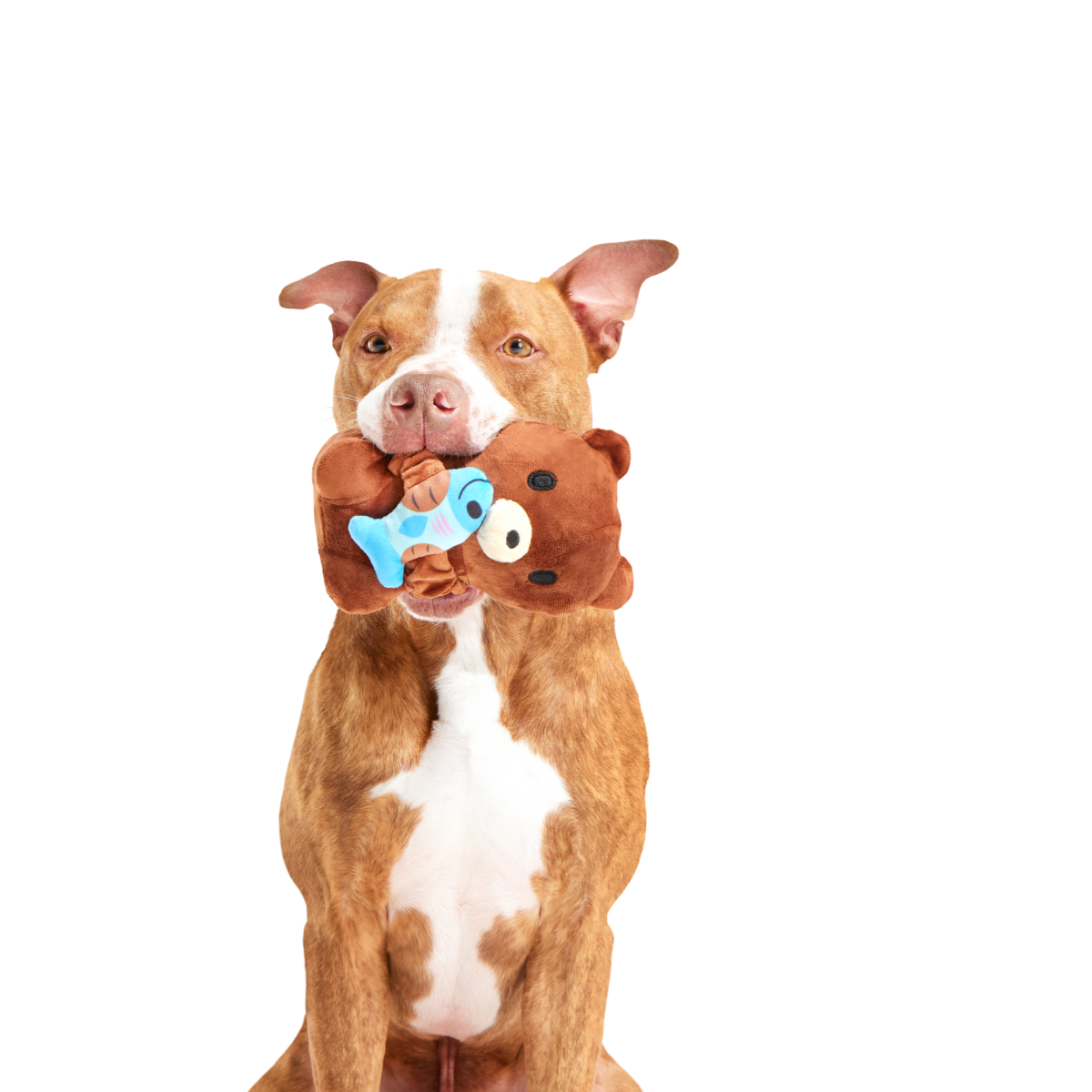 Izzy the Grizzly & Sal Plush Tug Dog Toy - Image 3