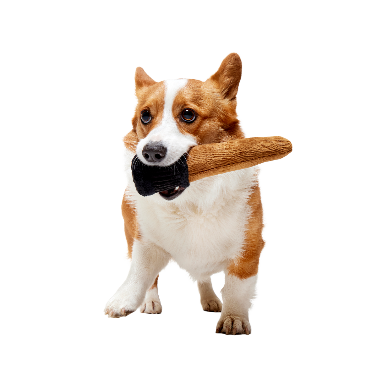Spellbinding Wand™ Plush Tug Dog Toy - Image 2
