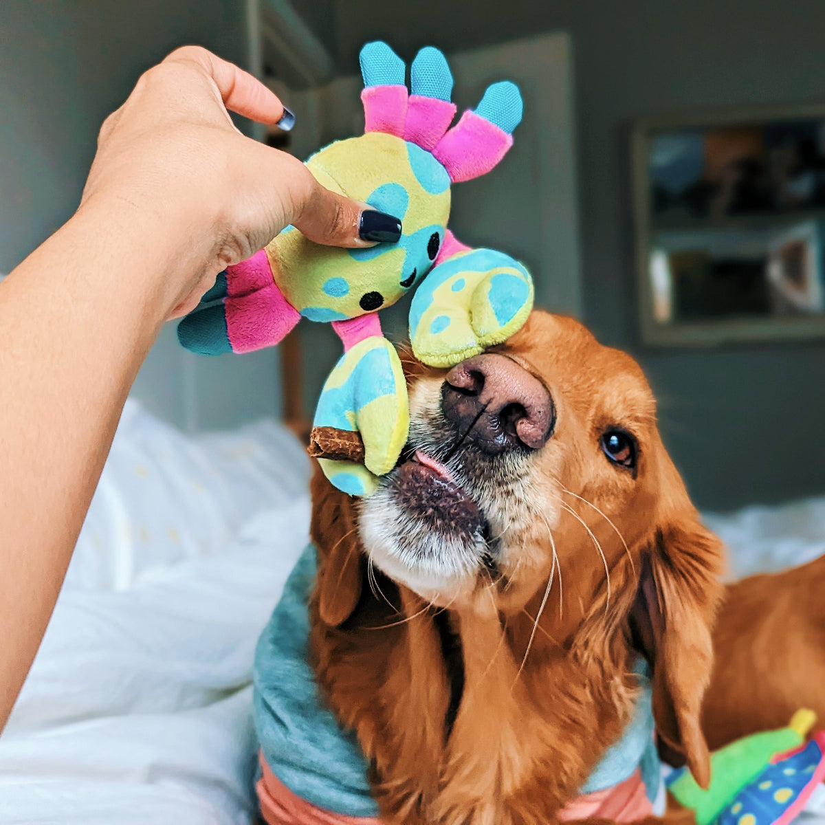 Moe The Mosaic Crab Plush Tug Dog Toy - Image 8