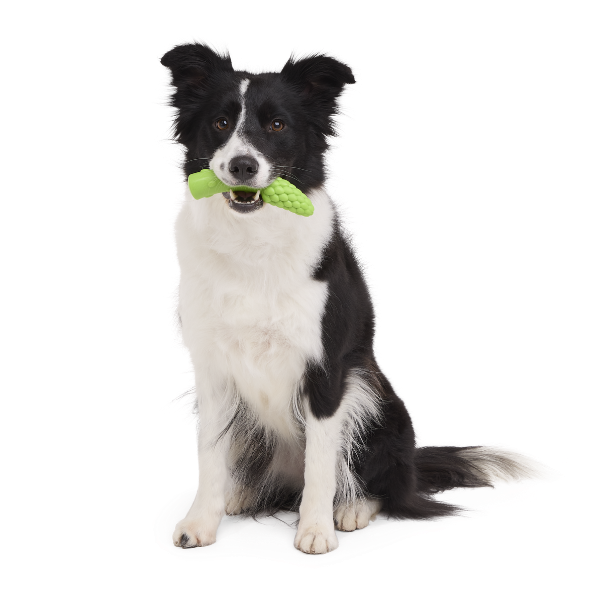 Aspupagus Super Chewer Durable Gnaw Toy - Image 2