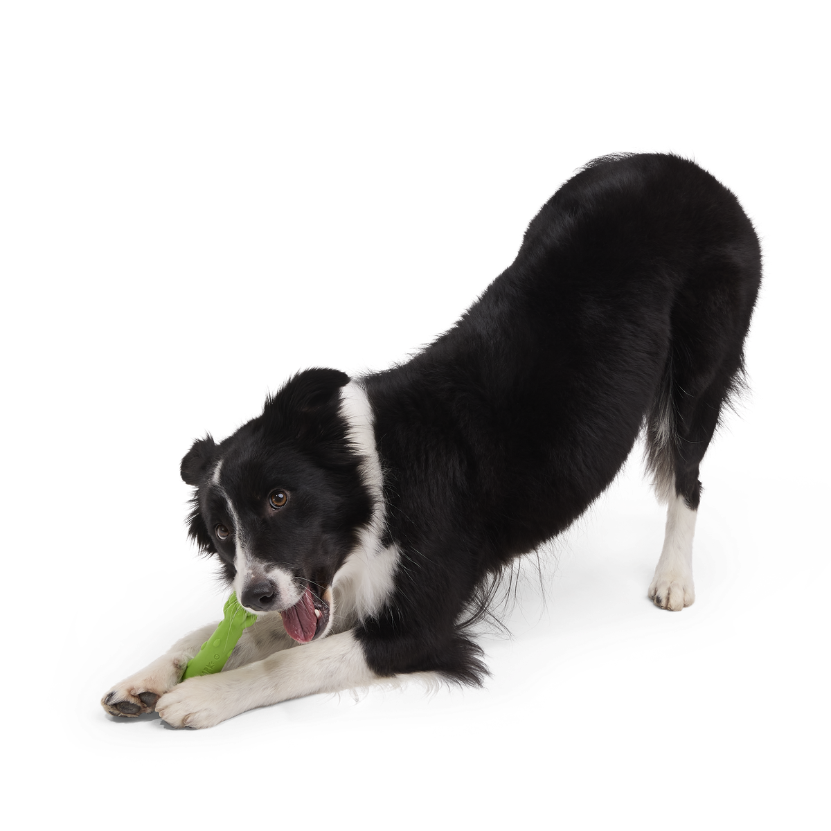 Aspupagus Super Chewer Durable Gnaw Toy - Image 4